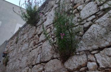 House Tuna - Foto 22