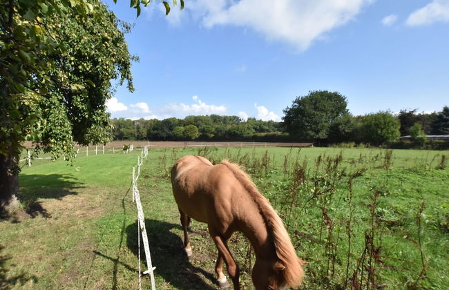 Charming Apartment in Pugholz Near Sea - Photo 16