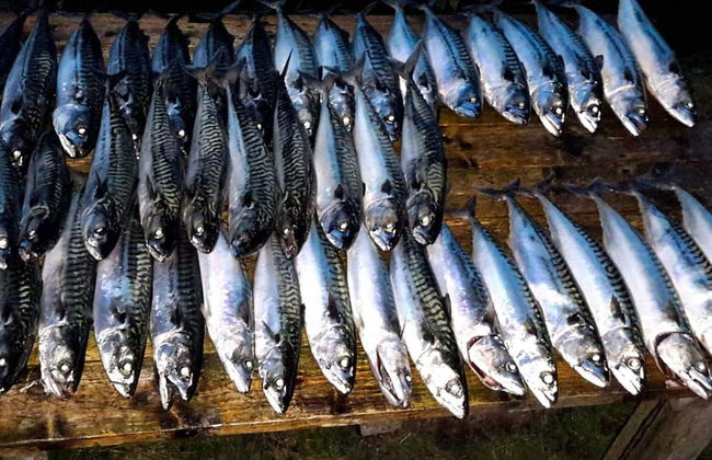 10 Person Holiday Home in Kaldfarnes-by Traum - Foto 20