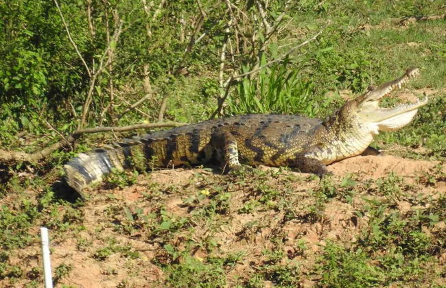 Pilgrim's Paradise Cabin 2 - Photo 14
