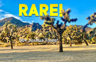 Epic Views, Huge House, Acres of J-Trees to explore, Hot Tub, Pool, AC, and Mini-Golf - Foto 10