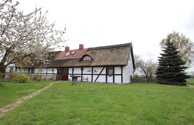 Ferienhaus in Wittendtsrp OT Pogress - Foto 17