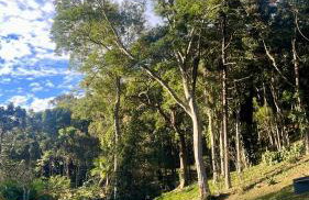 Casa 02 Vale Boa Vista - Casa em Condomínio Exclusivo com Vista para as Montanhas e Área de Lazer Completa - Photo 38