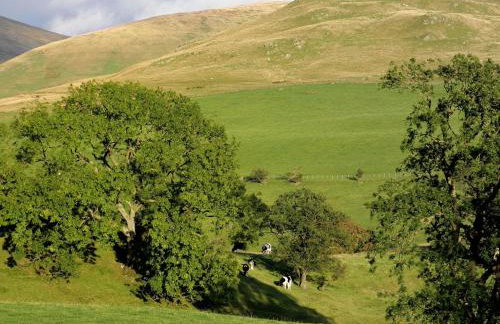 Gateside Farmhouse Sedbergh - Foto 14