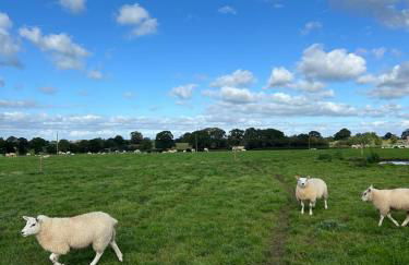 The Lodge - Photo 62