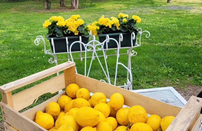 Il Castello - Foto 27