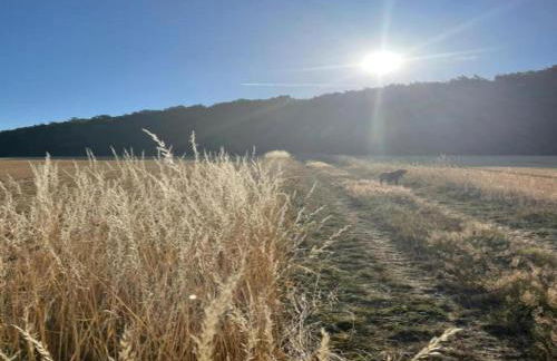 Bungalow im Feriendorf Uslar mit Gartenterrasse - Photo 62
