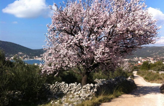 Green Paradise With Magnificent View - Foto 28