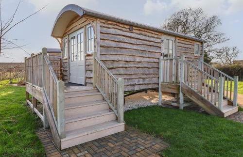 The Egyptologist - Foto 1