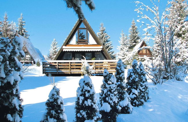 Tennenbronn Holiday Park, Tennenbronn - Foto 48