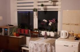 Agroturystyka "JAGAP" OAZA SPOKOJU - Foto 16