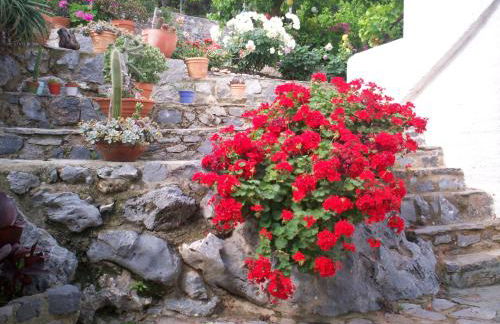 Kapetaniou Apartments - Foto 36