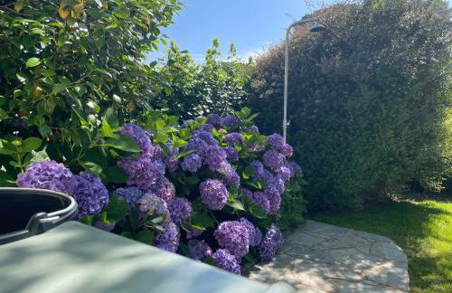 KerDesAmis - Tolles Ferienhaus in Strandnähe mit Sonnenterrasse, Boulebahn und großem Garten - Foto 9