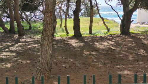 FRONTE PINETA MARE RIVABELLA - Foto 5