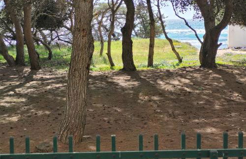 FRONTE PINETA MARE RIVABELLA - Foto 5