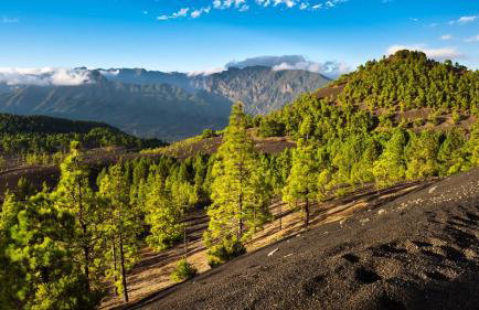 Estudio Bibi - Photo 15