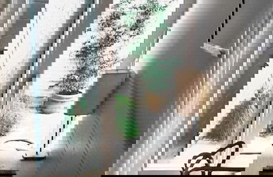 Agriturismo La Barca nel Bosco - Foto 7