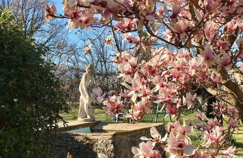 San Processo Agriturismo - Foto 7