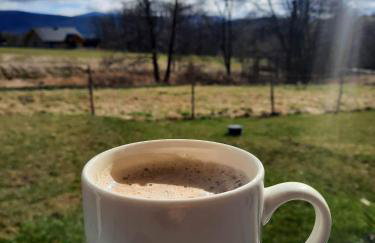 Domek Ostoja - Foto 34