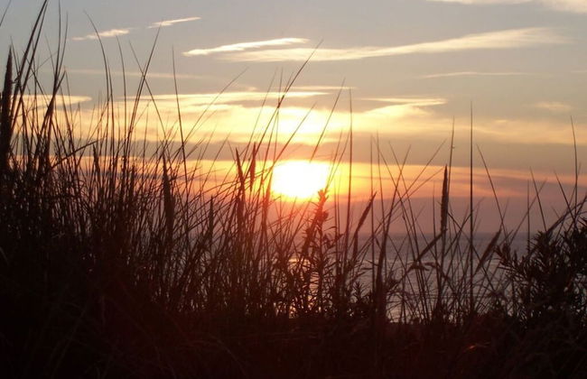 Am Januspark 14 Modern Retreat - Foto 6