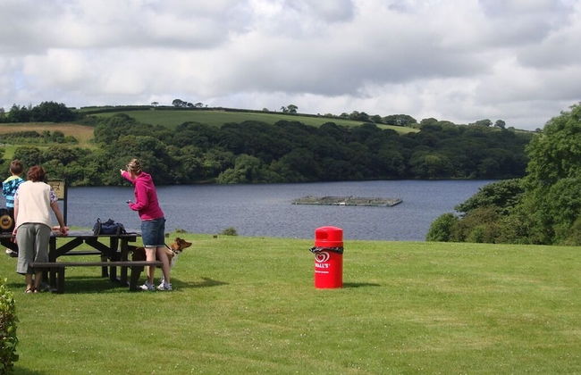 Llysyfran Farm B&B - Photo 12