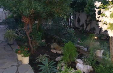 La Casa Di Elena - Foto 2