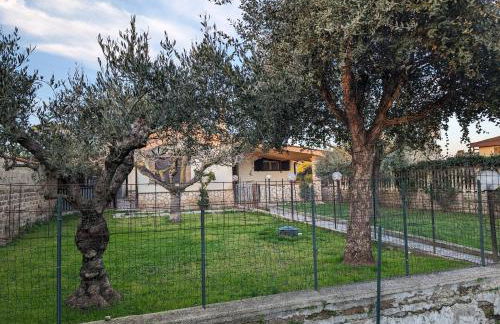 La Villetta del Gelso bianco - Foto 32