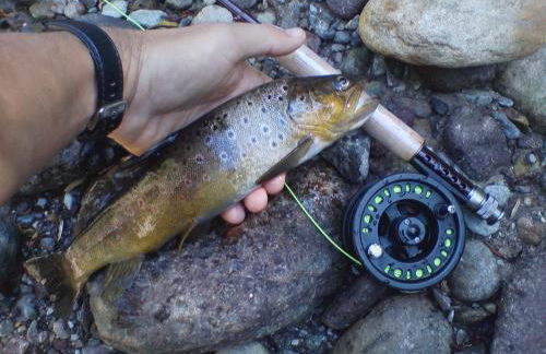 Silvano Fanti - Foto 19