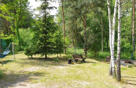 domki nad jeziorem, las, do 10 osób jezioro Wilczyńskie Budzisławskie - domek letniskowy osobno ogrodzony, ogrzewany mile widziane pieski, zwierzeta- wielkopolska, 62-550 Zygmuntowo gm Wilczyn - Photo 12