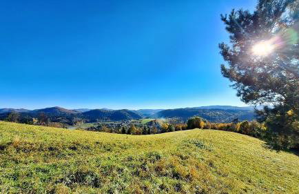 Domek Malinowy - Photo 53