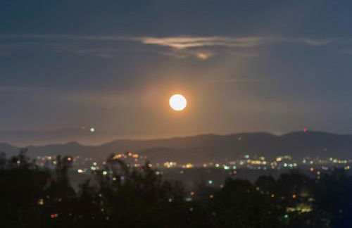 The Creek Retreat - Totally private 1Br/1Bd - Foto 23