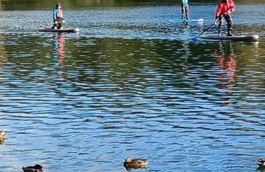 Brampton Holiday Homes - The Mews Apartment - Foto 13