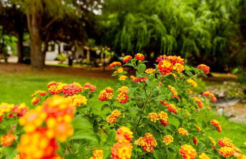 Quinta O Refúgio - Photo 23