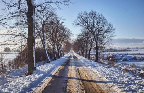 Dębinówka - Foto 42