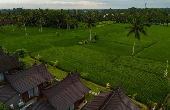 Mathura Ubud - Foto 36