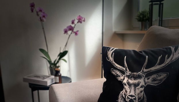 Ferienwohnung Hella - Foto 2, Profilbild