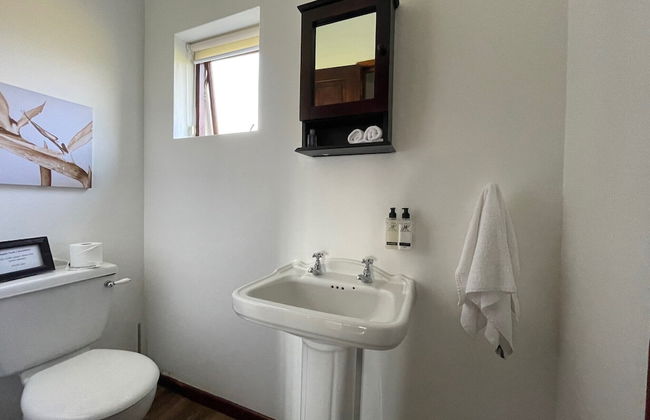 Endless Vineyards at Wildekrans Wine Estate - Photo 16