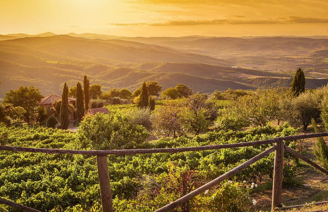 From Bologna: Chianti wine Experience with lunch - Photo 15