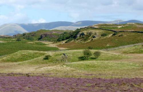 The Granary - Foto 16