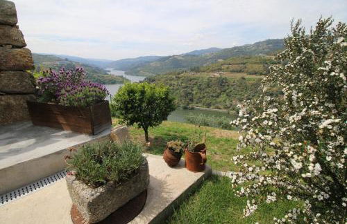 Douro Mesio Guest House - Foto 24