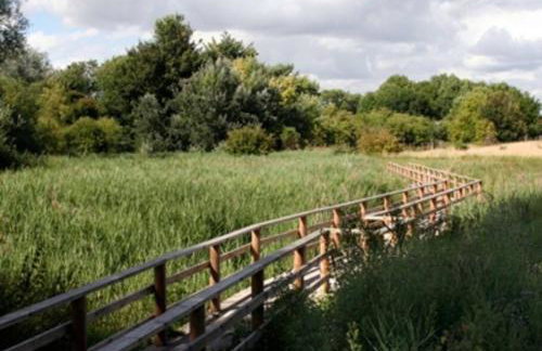 Entire Thatched Cottage - Photo 32