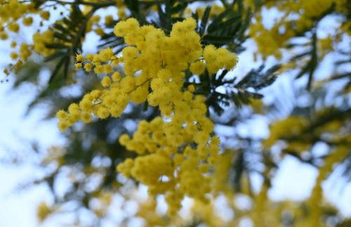 Entre mer et collines Appartement T2 - Foto 24