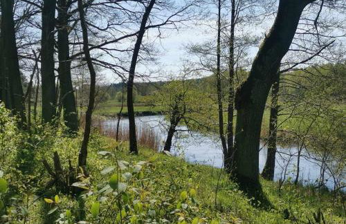 Dom za wydmą - Foto 37