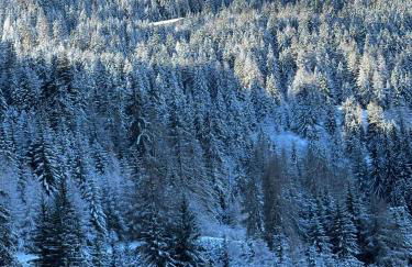 Appartement 4 personnes dans le mythique Paquebot des Neiges à La Plagne - Foto 7