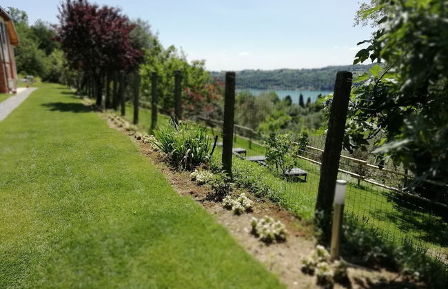 Agriturismo Podere Nigriano - Foto 28