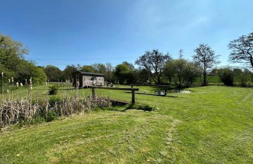 Mountbatten Shepherds hut & Buckhurst Shepherds hut - Photo 39