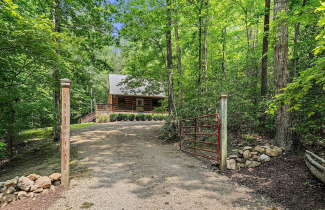 Mountain Laurel - 1 Bedrooms, 1 Baths, Sleeps 4 Cabin by RedAwning - Foto 16