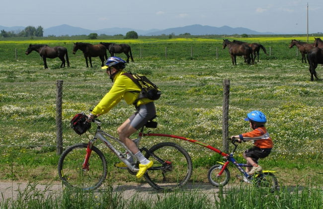 Agriturismo La pulledraia - Foto 28
