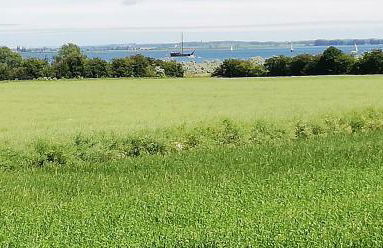 Dat Papenboerger Hus - Photo 15