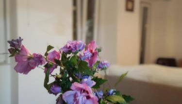 Casa com vista sob a cidade! - Foto 2